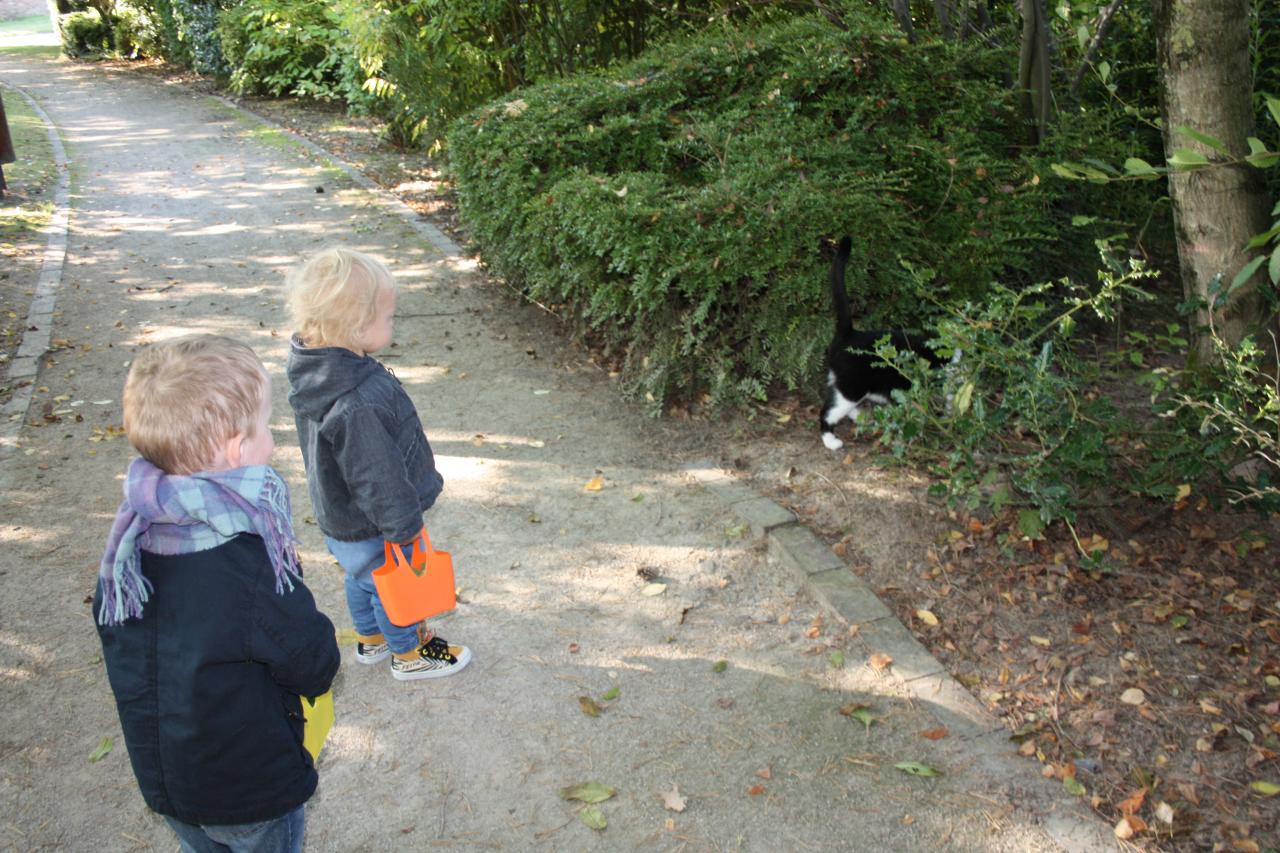 JEAN ET SUZANNE TAQUINER PAR UN PETIT CHAT 