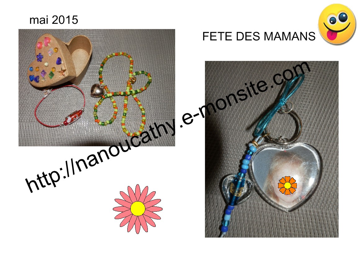 Montage1213032