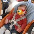 louison