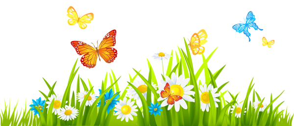 Grass ground with flowers and butterflies png clipart
